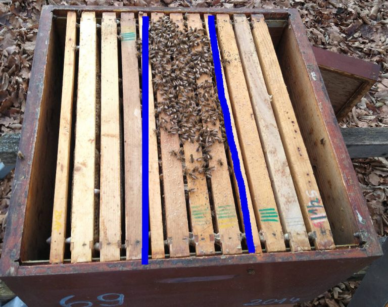 Der angepasste Brutraum